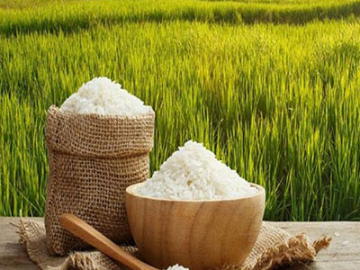 برنامه تغذیه ای برنج