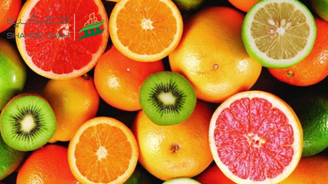  شهر گیاه